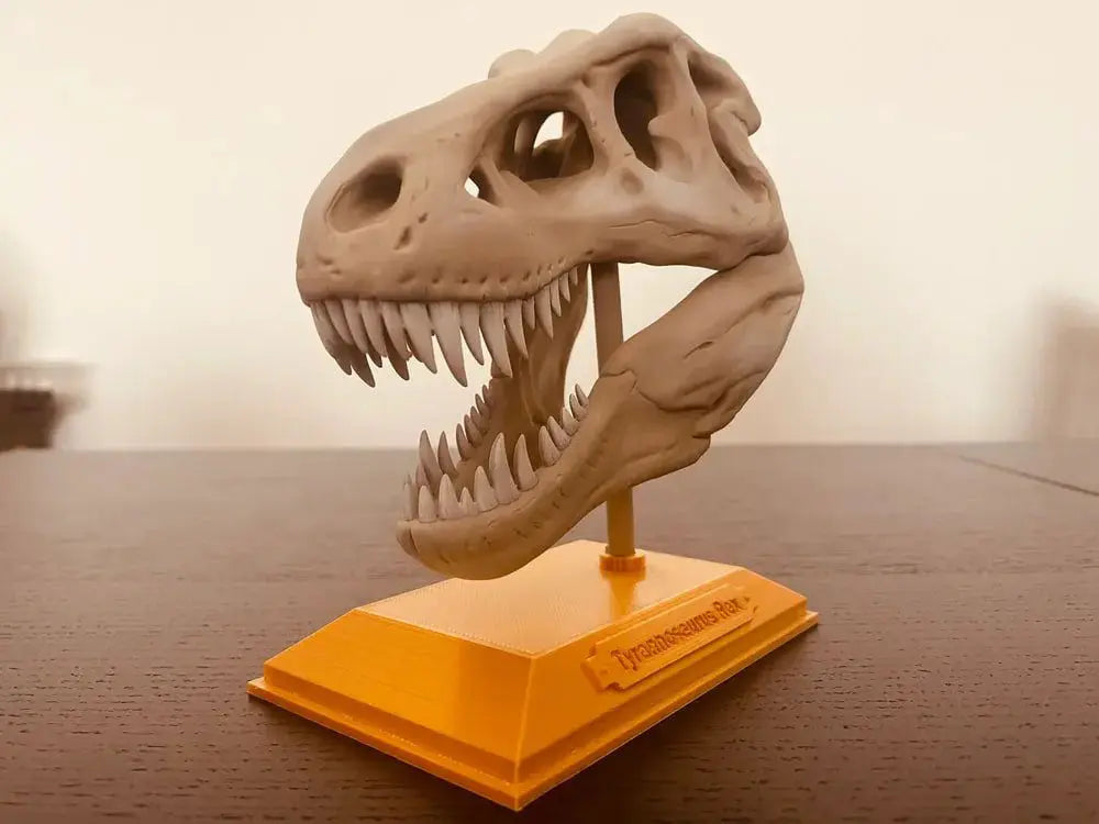 T-Rex skeleton skull 3d printable STL file - i3dyou