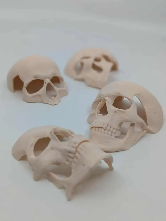 Human skull decor 3d printable file i3dyou