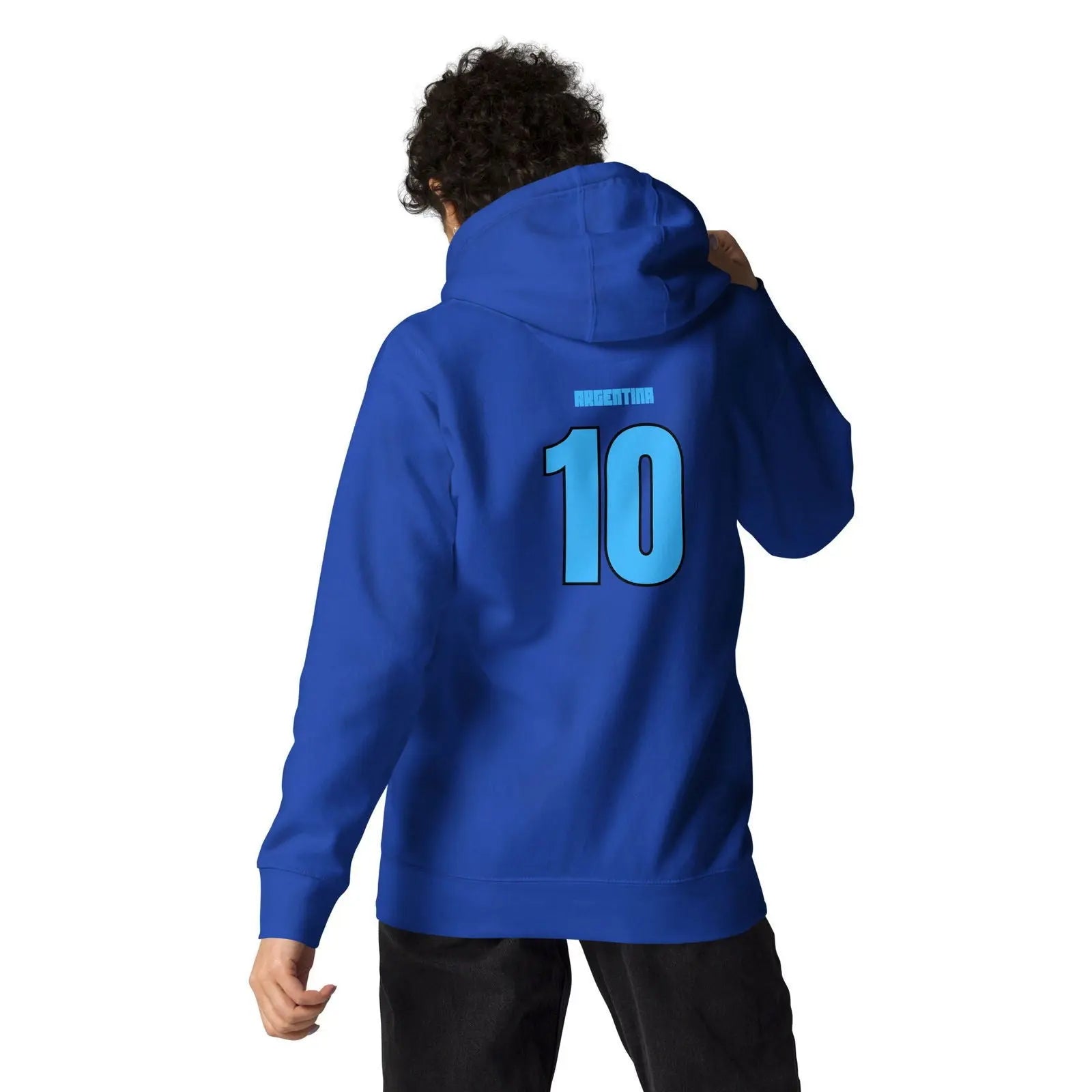 Argentina National Soccer Team lover Fans Hoodie - i3dyou