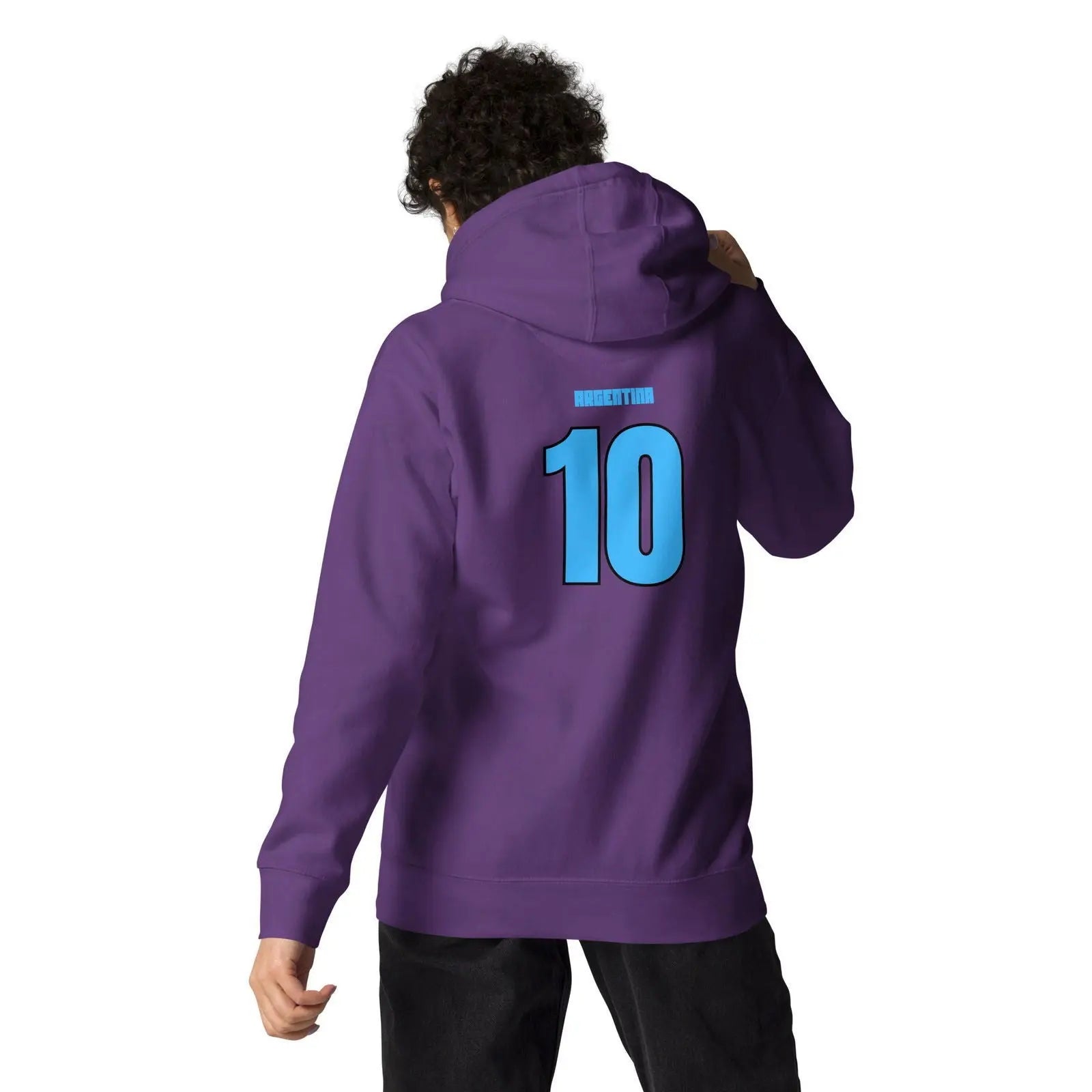 Argentina National Soccer Team lover Fans Hoodie - i3dyou