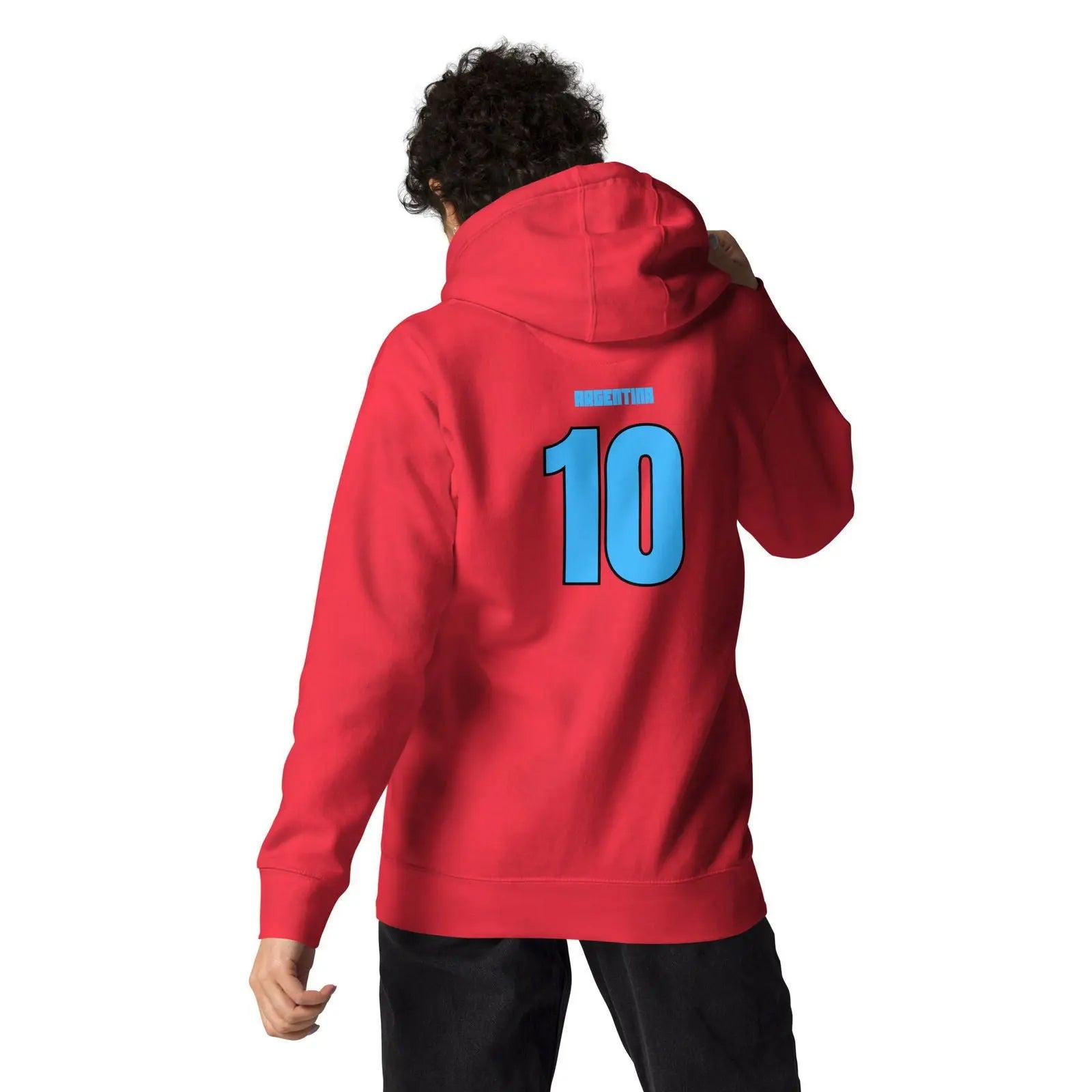 Argentina National Soccer Team lover Fans Hoodie - i3dyou