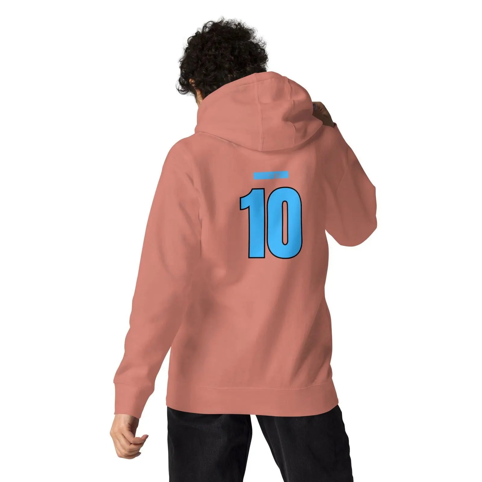 Argentina National Soccer Team lover Fans Hoodie - i3dyou