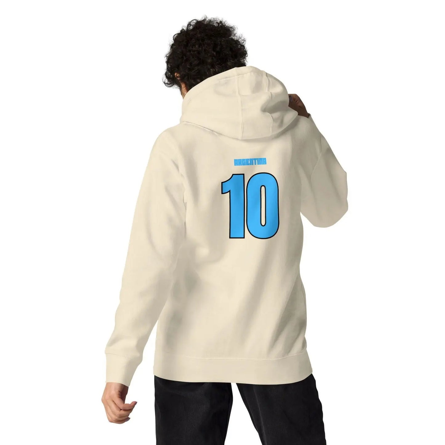 Argentina National Soccer Team lover Fans Hoodie - i3dyou