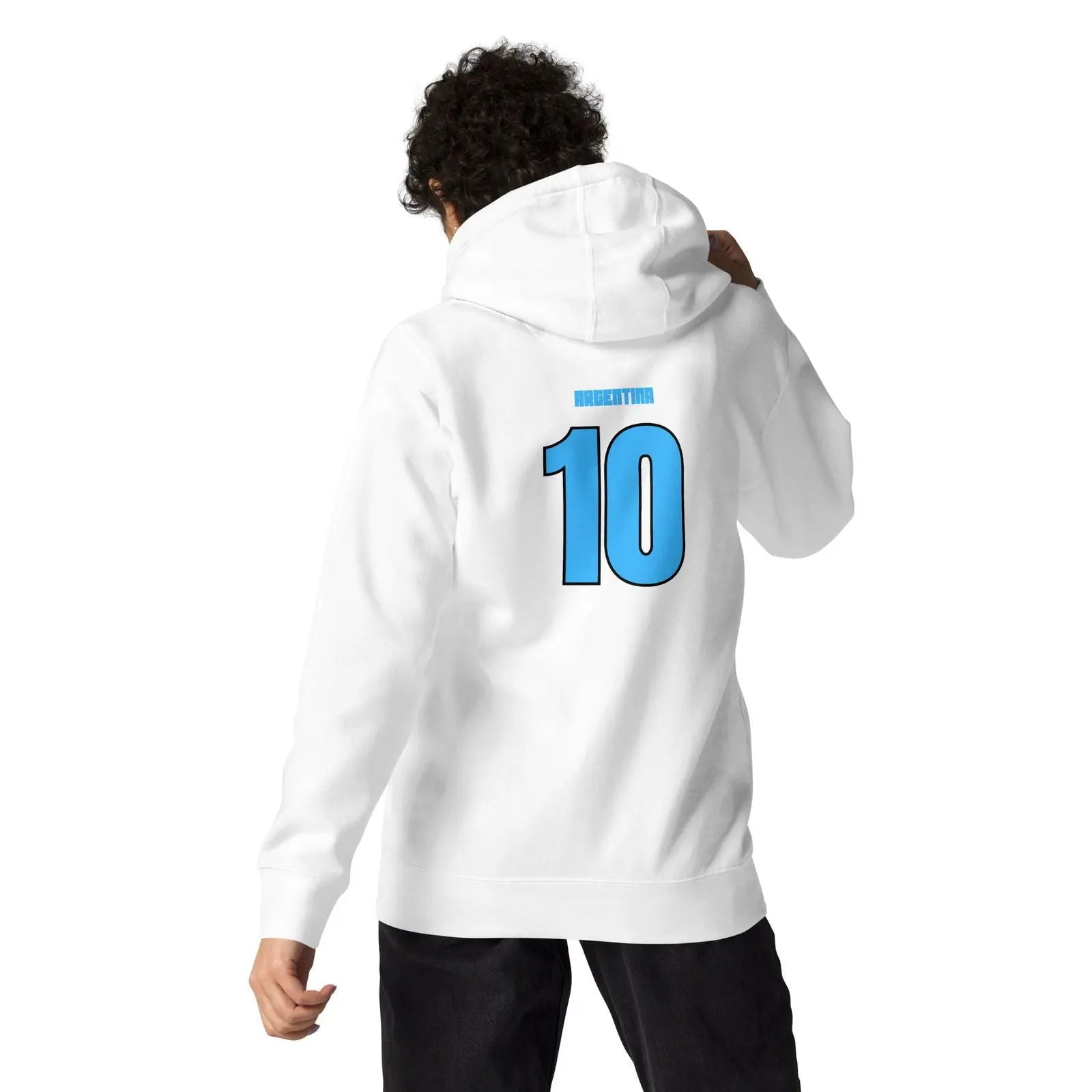 Argentina National Soccer Team lover Fans Hoodie - i3dyou