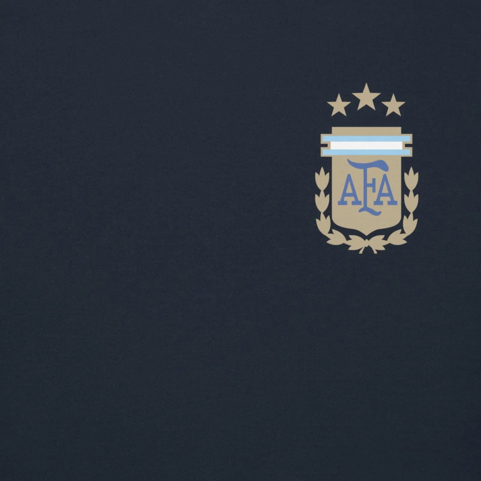 Argentina National Soccer Team lover Fans Hoodie - i3dyou