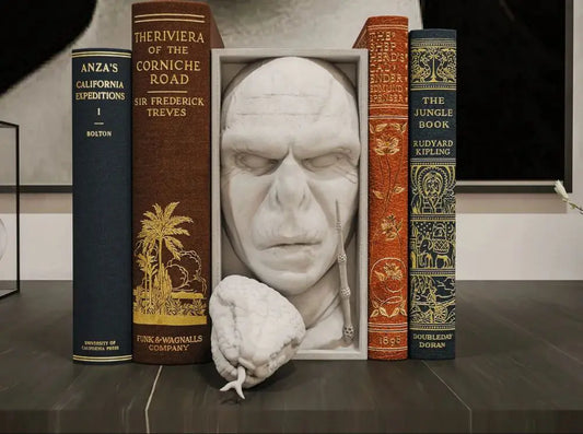 Book Nook Voldemort 3d print model file - i3dyou