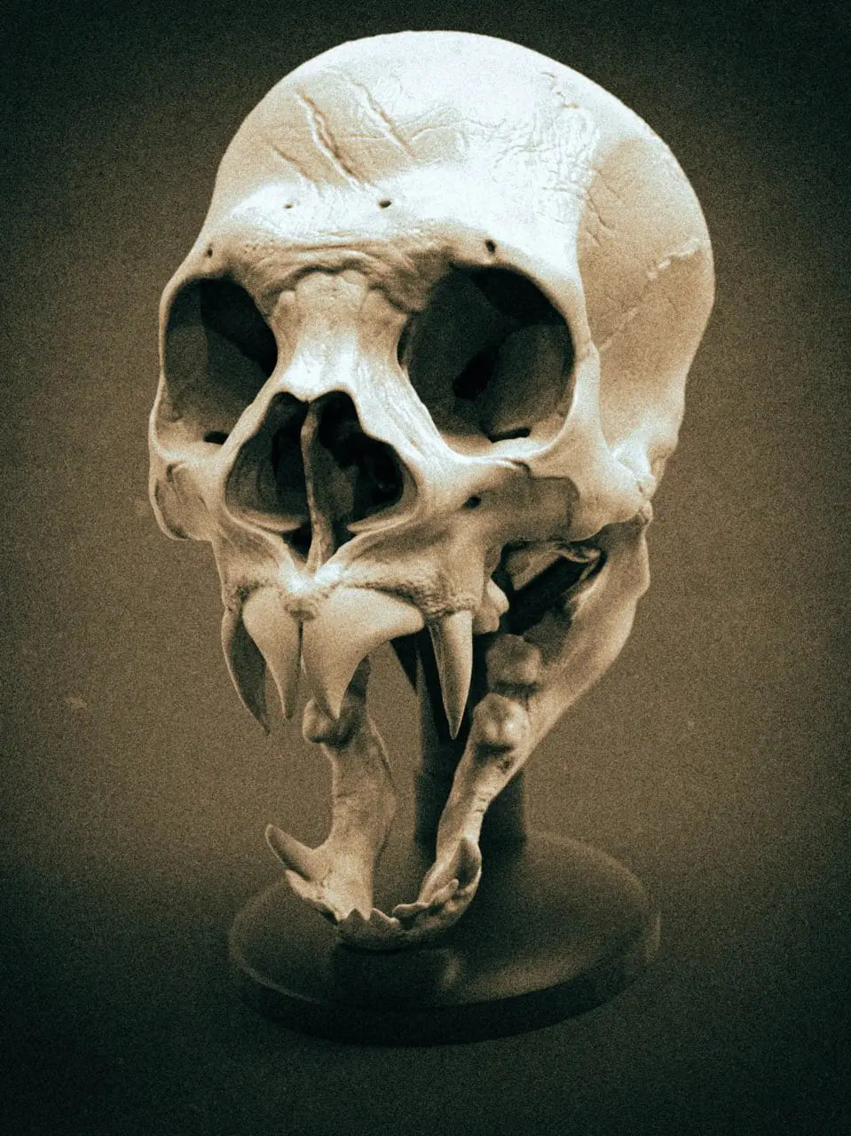 Hyperrealistic vampire skull print file i3dyou