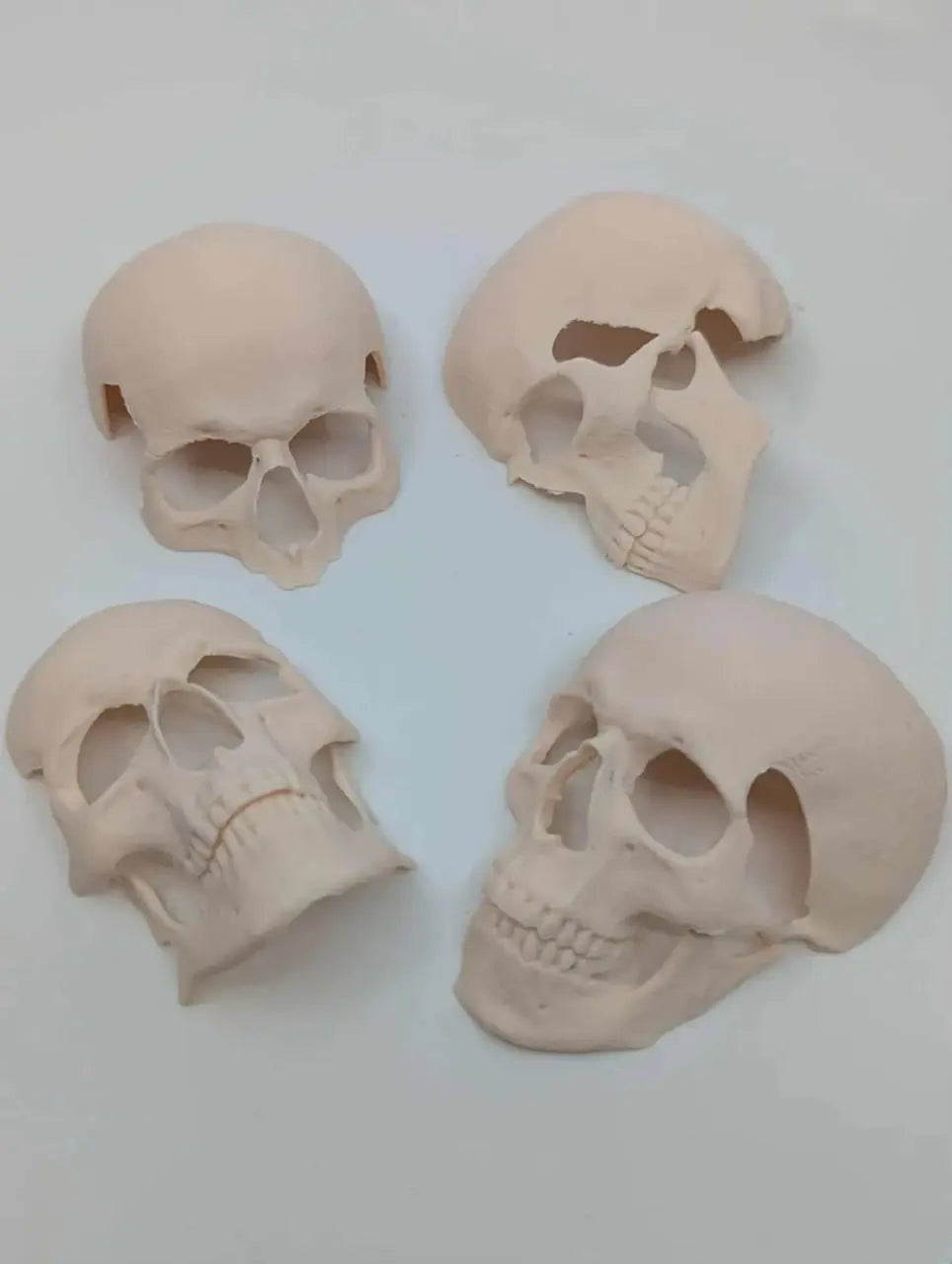 Human skull decor 3d printable file i3dyou